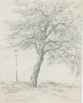 Бродский Исаак Израилевич. Пейзаж с деревом 